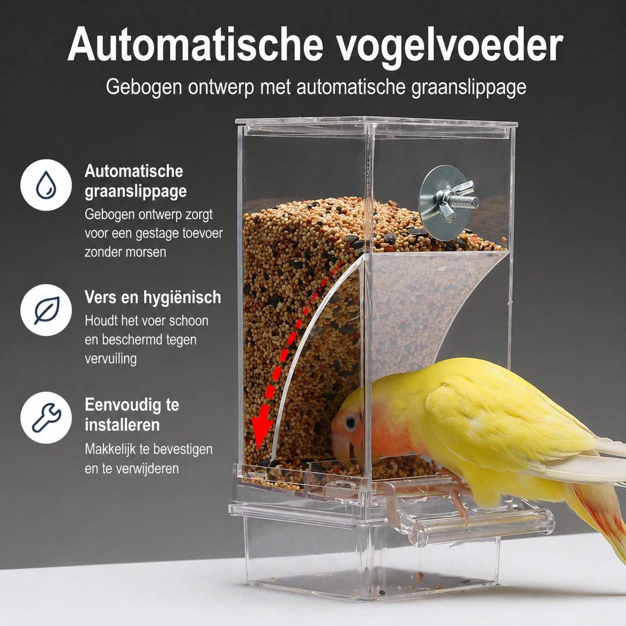 Automatische Vogelvoederbak – Druppel- en Spatwaterdicht voor Buiten