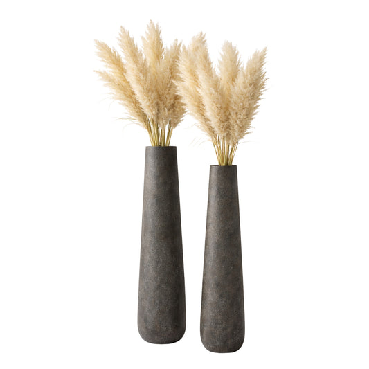 Decolind Pampasgras – Extra Fluffy – 100 cm – Natuurlijk