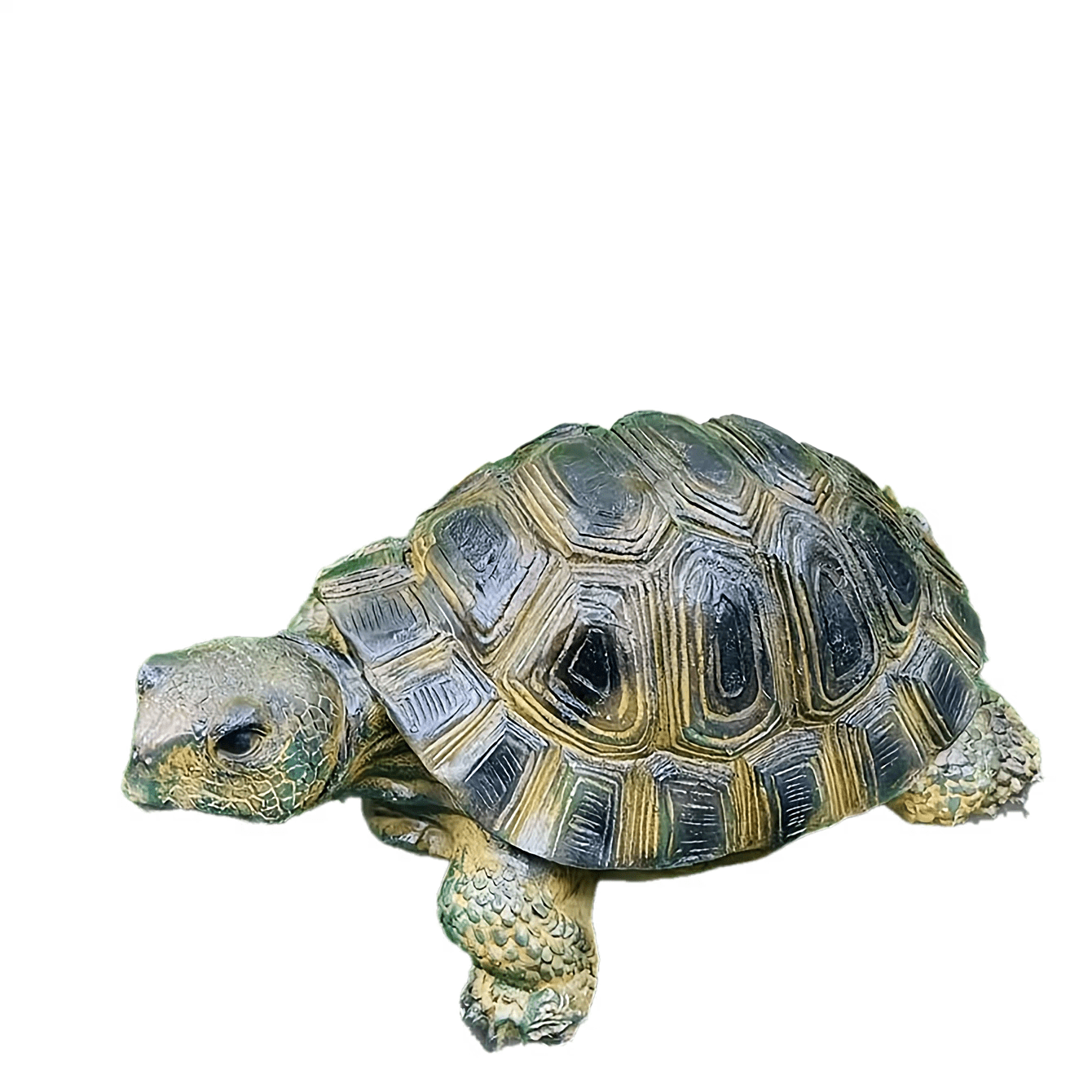 Schildpad Tuindecoratie Hars