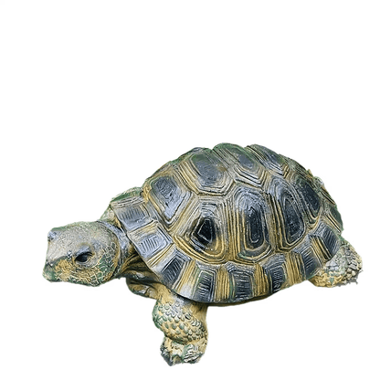 Schildpad Tuindecoratie Hars