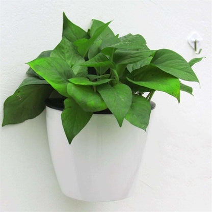 Verticale Zelfwaterende Bloempot – Moderne Plantenhouder