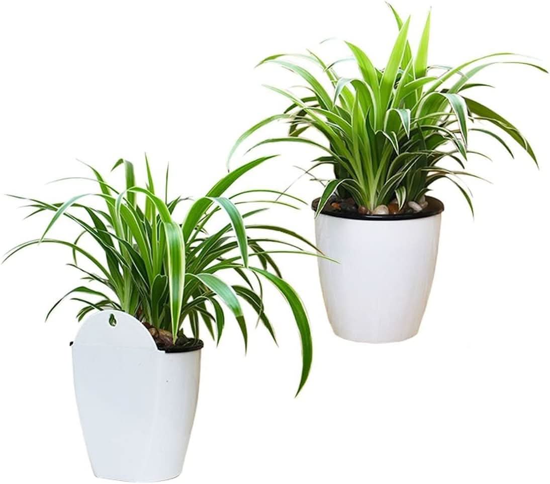 Verticale Zelfwaterende Bloempot – Moderne Plantenhouder