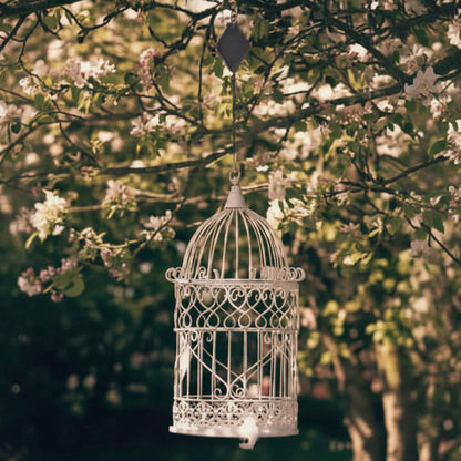 In Hoogte Verstelbaar Ophangsysteem – Voor Planten en Vogelhuisjes