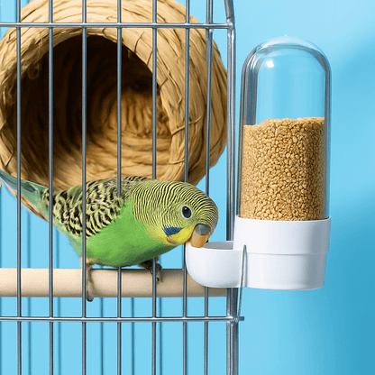 2-in-1 Automatische Vogelvoeder en Drinkbak