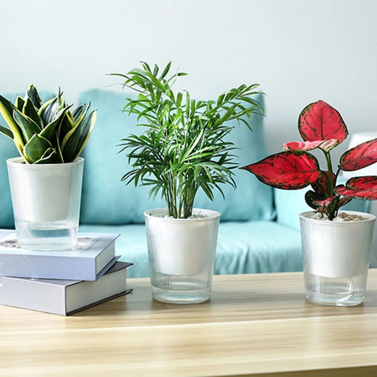 Transparante Zelfwaterende Bloempot