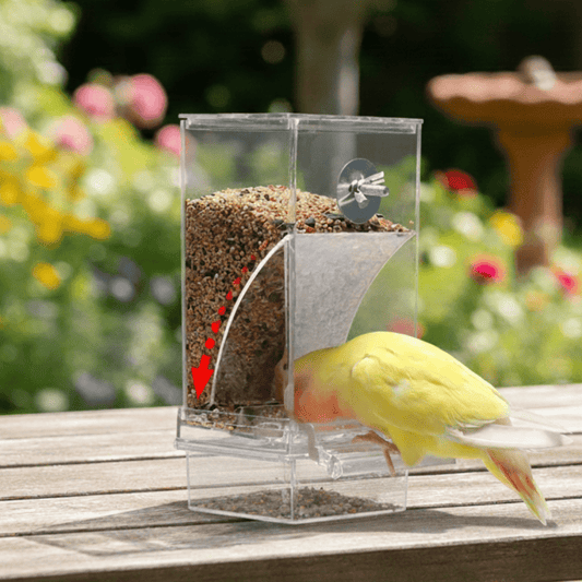 Automatische Vogelvoederbak – Druppel- en Spatwaterdicht voor Buiten