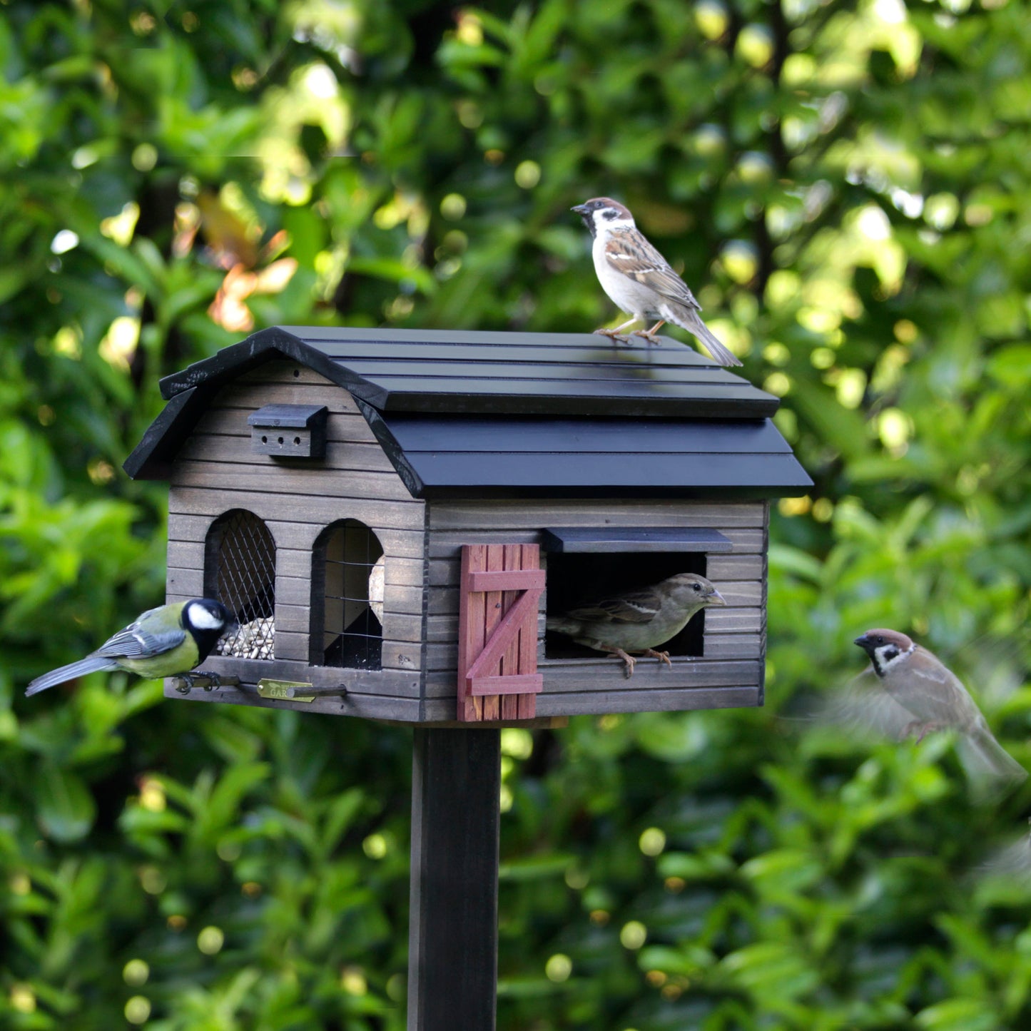 Multifeeder Schuur