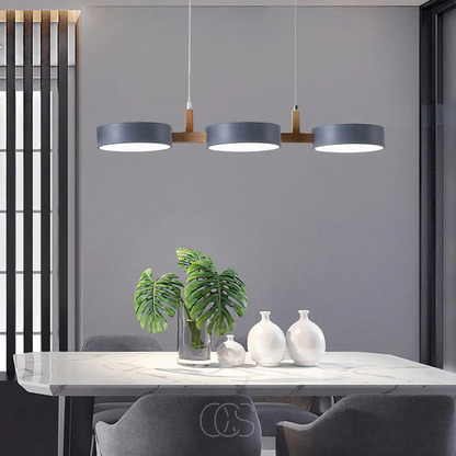 Scandinavische  Hanglamp Design Lamp