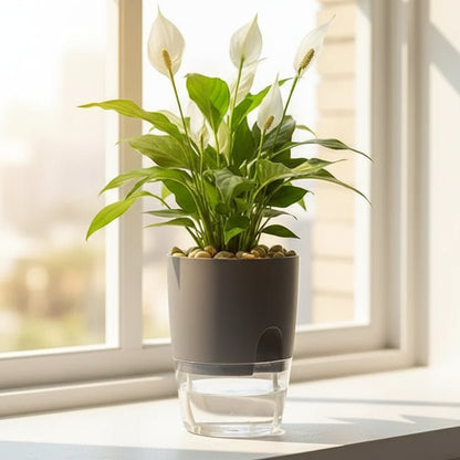 Watercultuur Bloempot – Ruimtebesparende Plantenverzorging