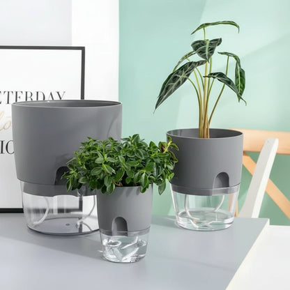 Watercultuur Bloempot – Ruimtebesparende Plantenverzorging
