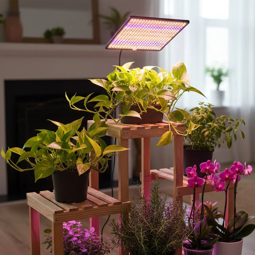 LED Kweeklamp 1200W