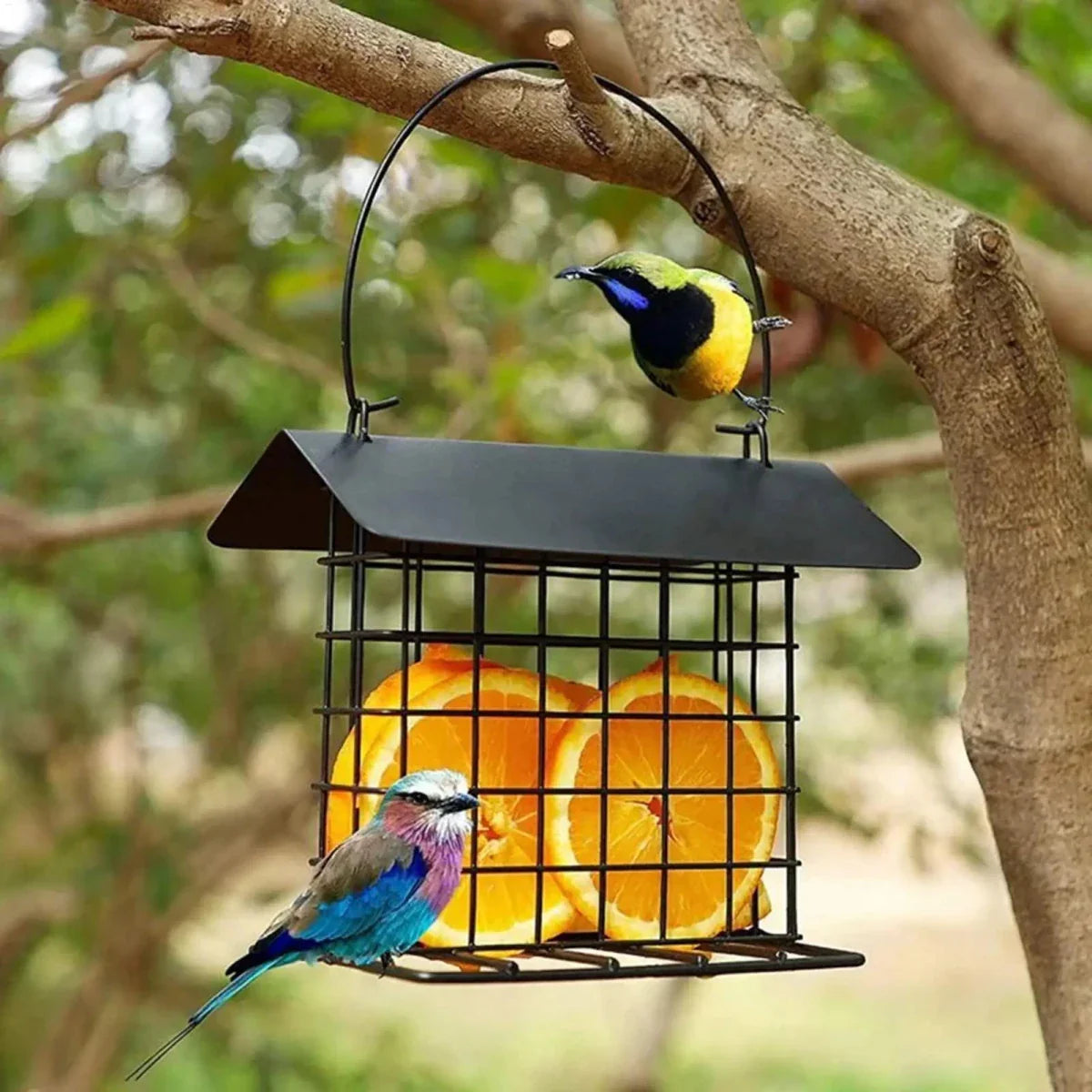 Hangende Vogelvoederbak