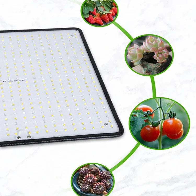 LED Kweeklamp 1200W