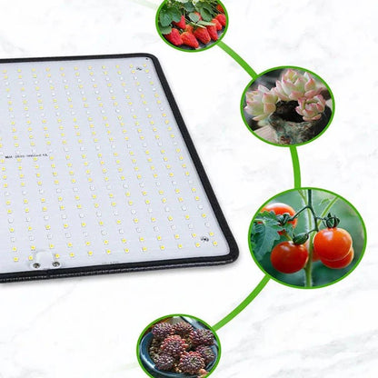 LED Kweeklamp 1200W