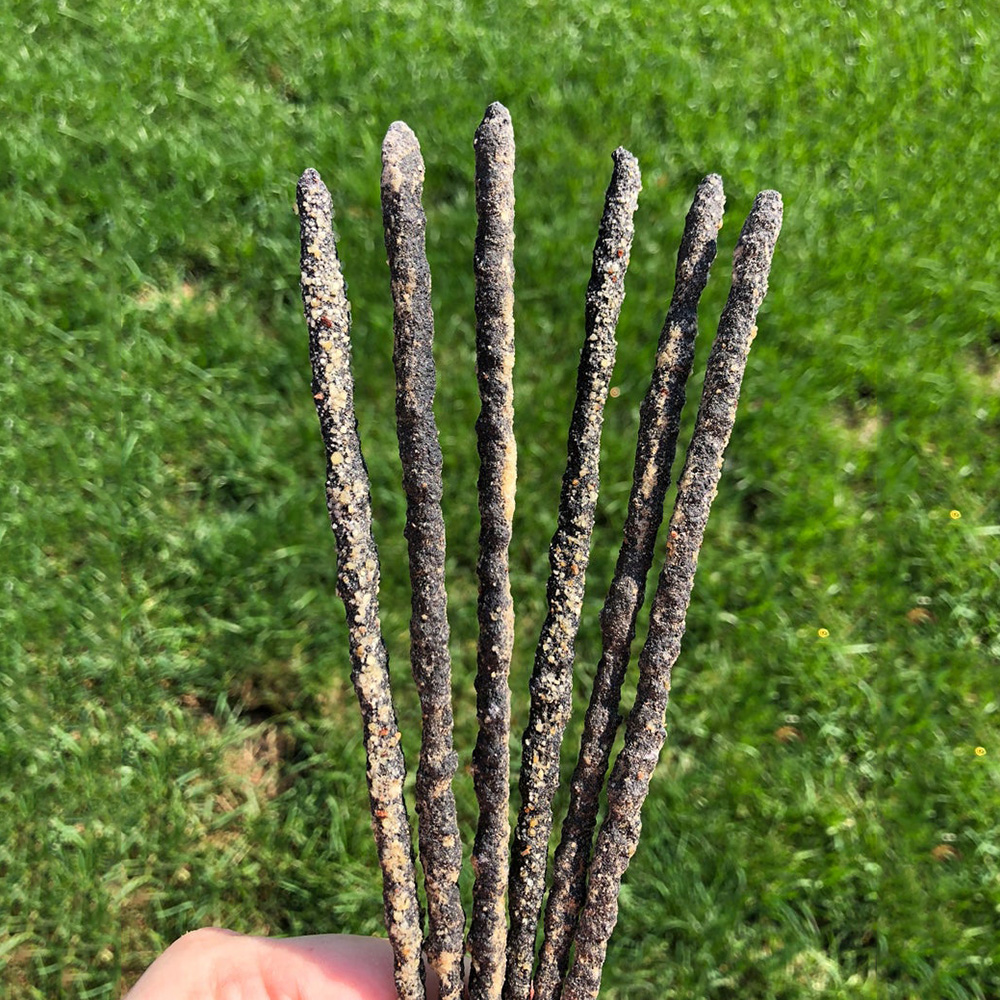 Salie Wierook Sticks – Natuurlijke Incense