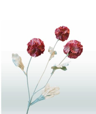 Scabiosa 68 cm 3 bloemen per steel