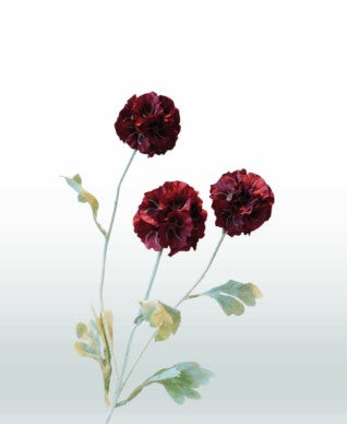 Scabiosa 68 cm 3 bloemen per steel