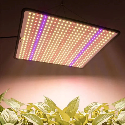 LED Kweeklamp 1200W – Volledig Spectrum voor Binnenplanten