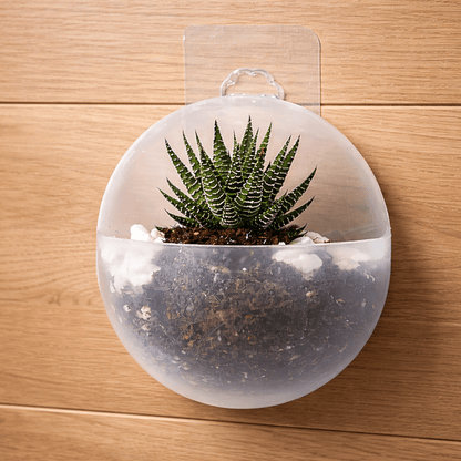 Hydroponische Wand Plantenbak