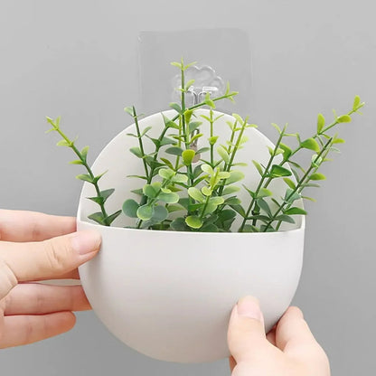 Hydroponische Wand Plantenbak
