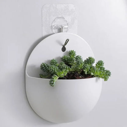 Hydroponische Wand Plantenbak