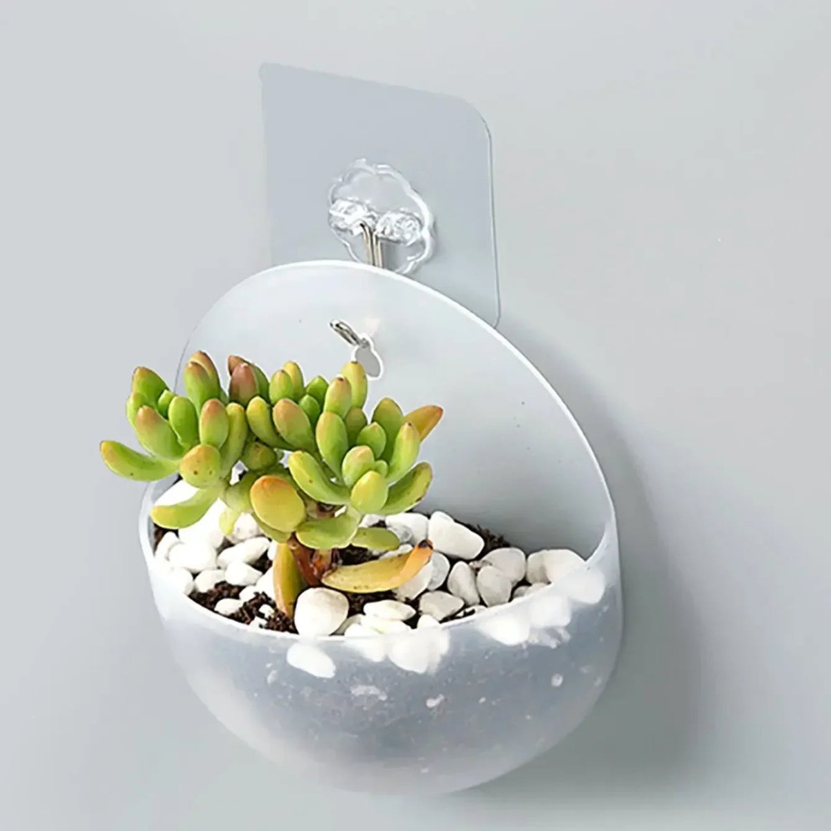 Hydroponische Wand Plantenbak