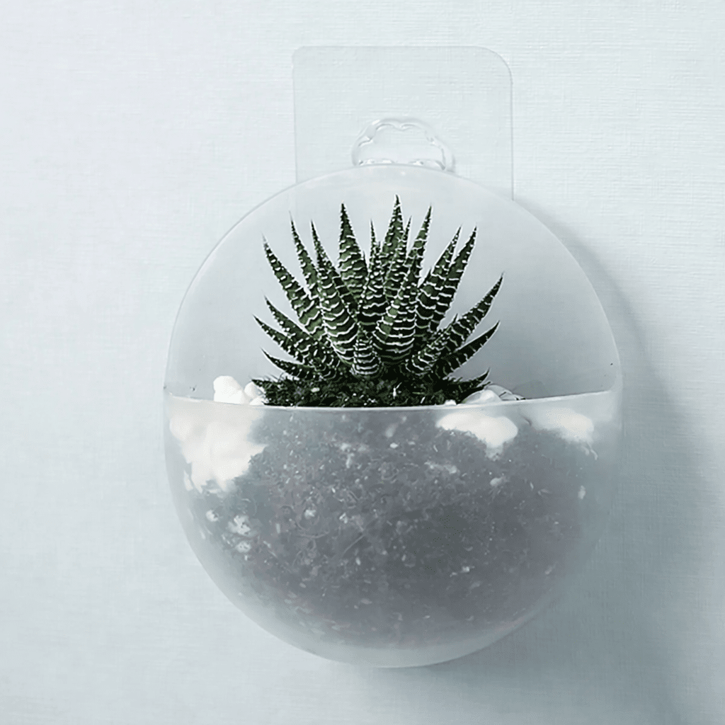 Hydroponische Wand Plantenbak