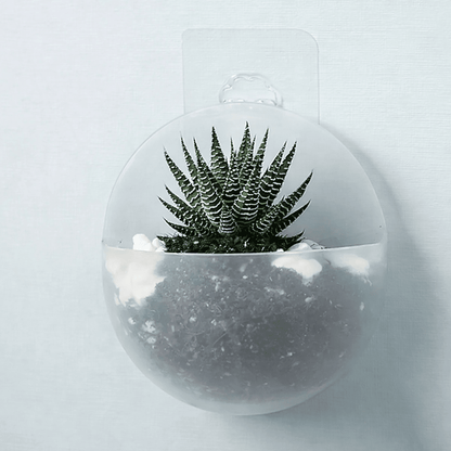 Hydroponische Wand Plantenbak