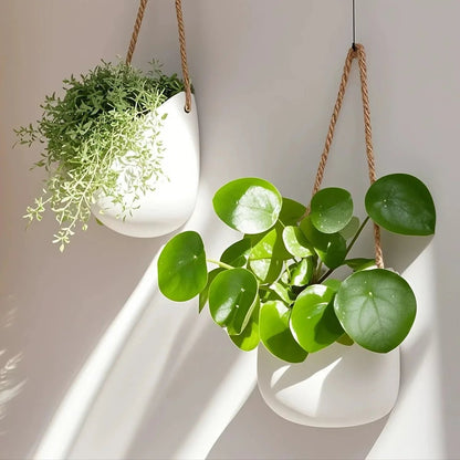 Elegante Wand Plantenbak