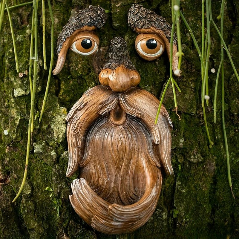 Vogelhuisje Boomgezicht