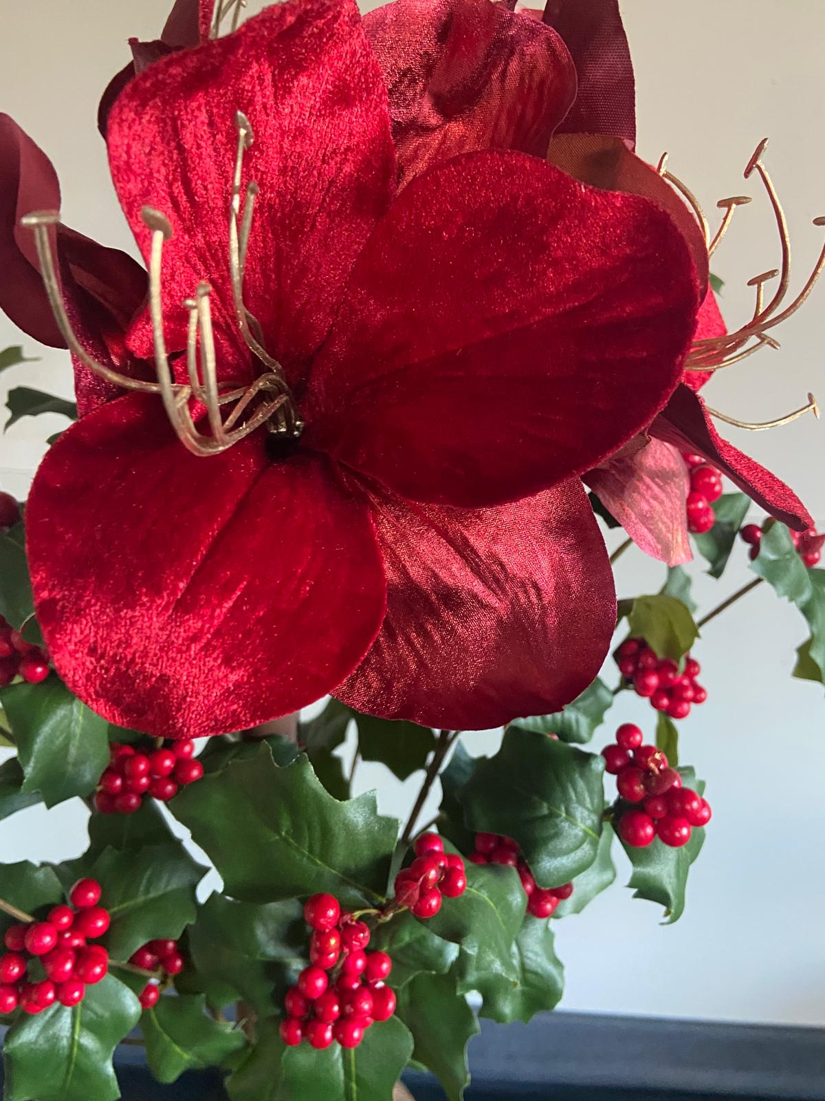 Amaryllis 67cm